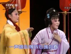 河南现代戏曲电影豫剧