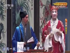 粤剧红梅记 白玉红梅 主演:梁耀安 曹秀琴