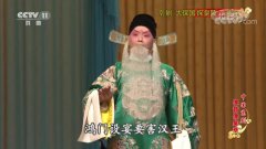 扬剧玉蜻蜓全集 主演:扬州市扬剧团